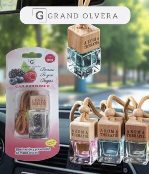 CAR REED DIFFUSER