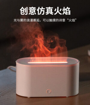 FLAME DIFFUSER/ HUMIDIFIER