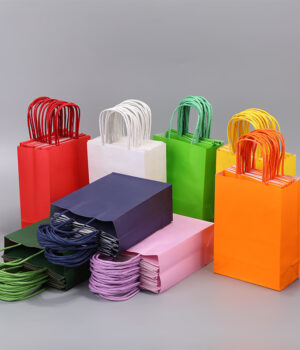 PAPER BAGS FOR PACKAGING(5 PCS)