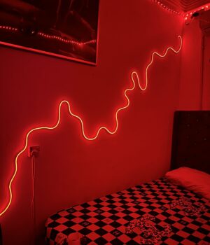 RGB NEON LIGHT(5 METERS)