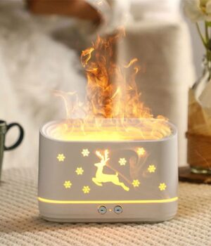 FLAME DIFFUSER/ HUMIDIFIER