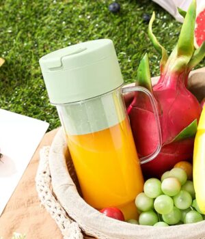 RECHARGEABLE BLENDER