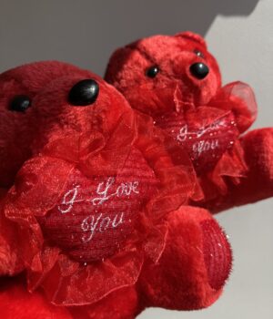 VALENTINE TEDDY BEAR