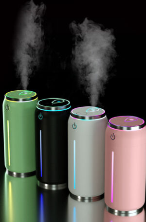 CAR/HOME DIFFUSER
