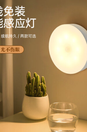 MOTION SENSOR LIGHT