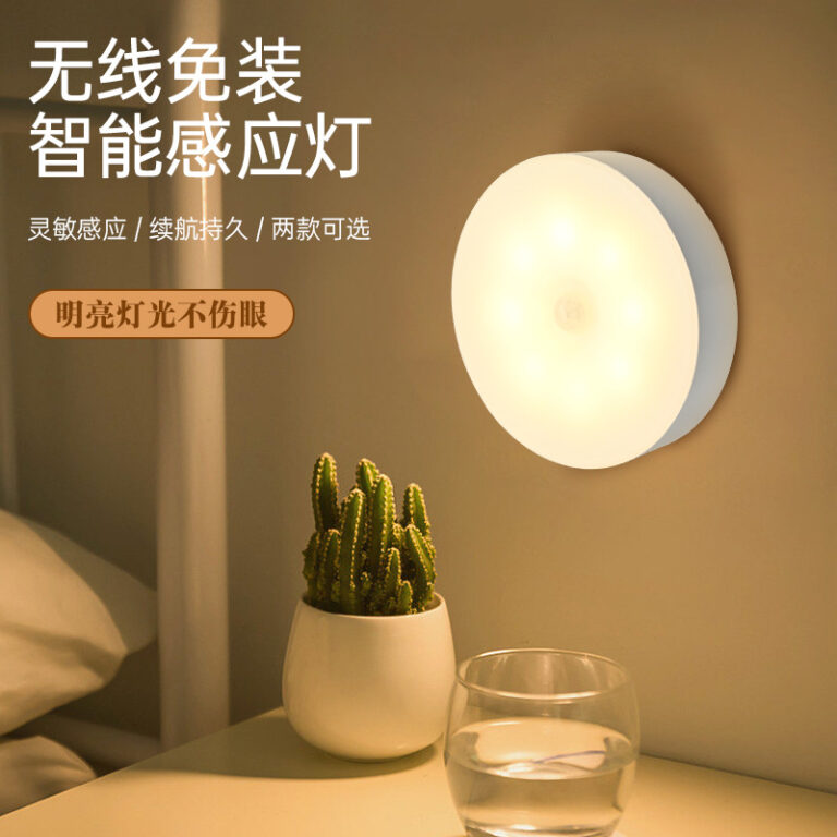 MOTION SENSOR LIGHT