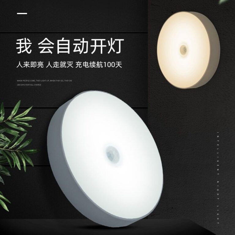 MOTION SENSOR LIGHT - Image 2