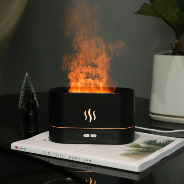 FLAME DIFFUSER/HUMIDIFIER