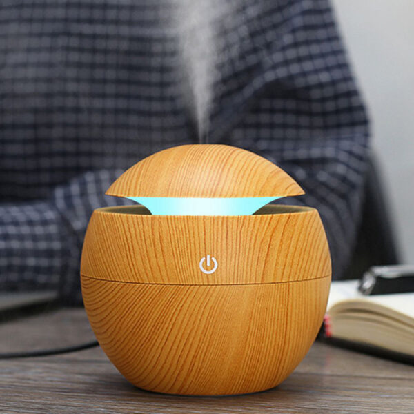 DIFFUSER/HUMIDIFIER