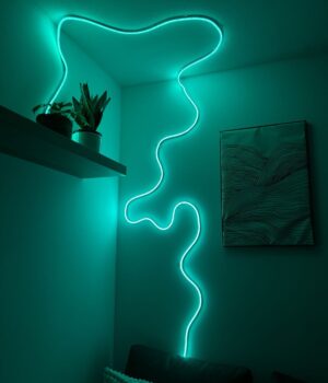 NEON STRIP LIGHT (5 METERS)