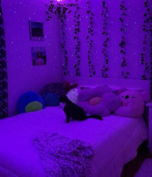 LED STRIP LIGHT(5 METERS)