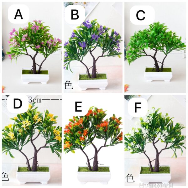 FLOWER/ POT PLANT