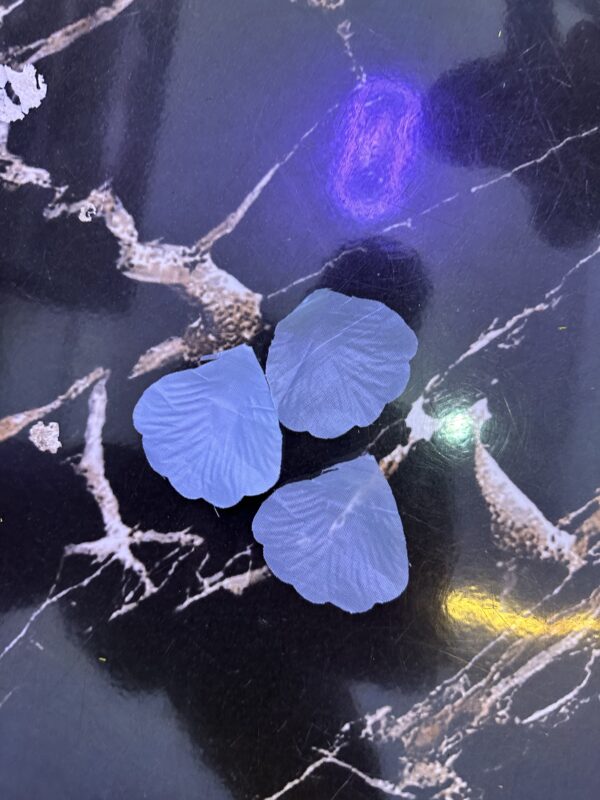 100 ROSE FLOWER PETALS - Image 37