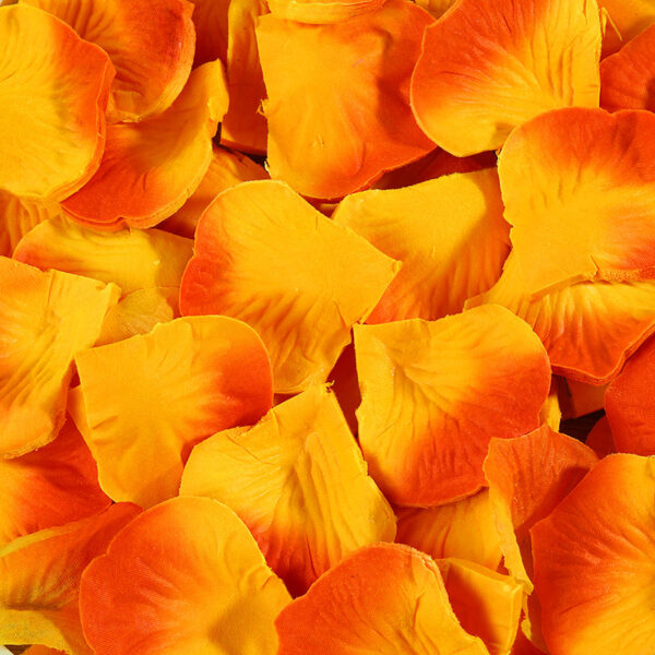 100 ROSE FLOWER PETALS - Image 22