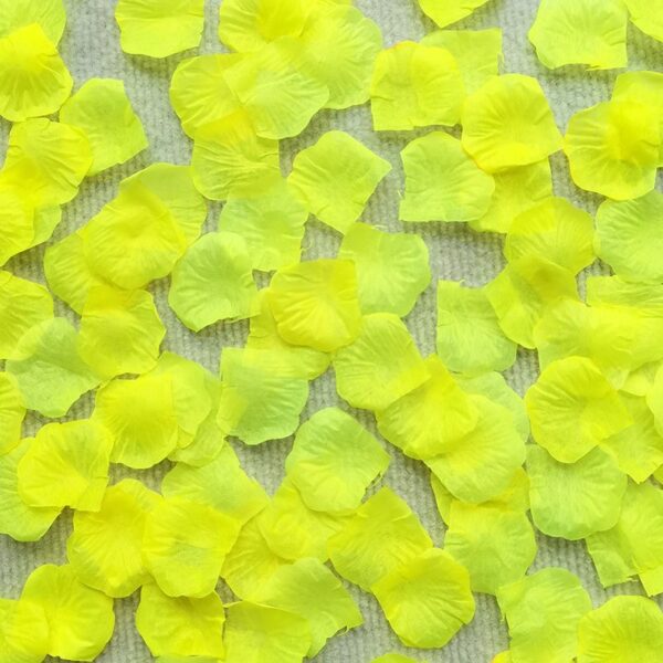 100 ROSE FLOWER PETALS - Image 9