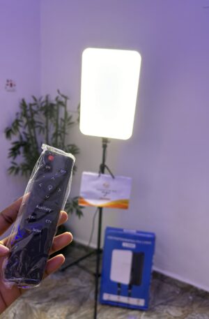 L-3560 PANEL LIGHT