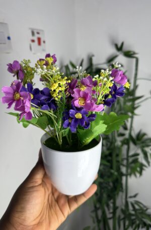 POT PLANT