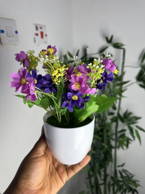 POT PLANT
