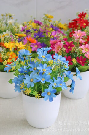 POT PLANTS