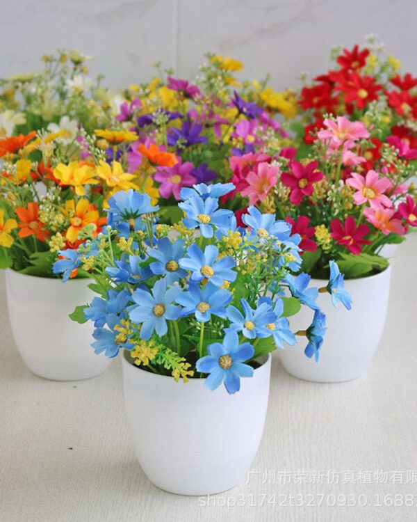 POT PLANTS