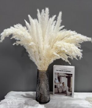 FLUFFY WHITE PAMPAS FLOWER(5 PCS)