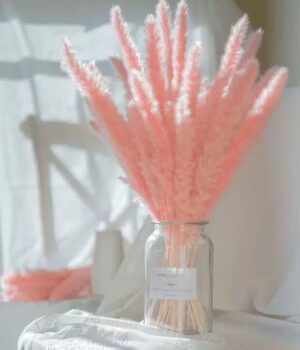 FLUFFY PINK PAMPAS FLOWER(5 PCS)