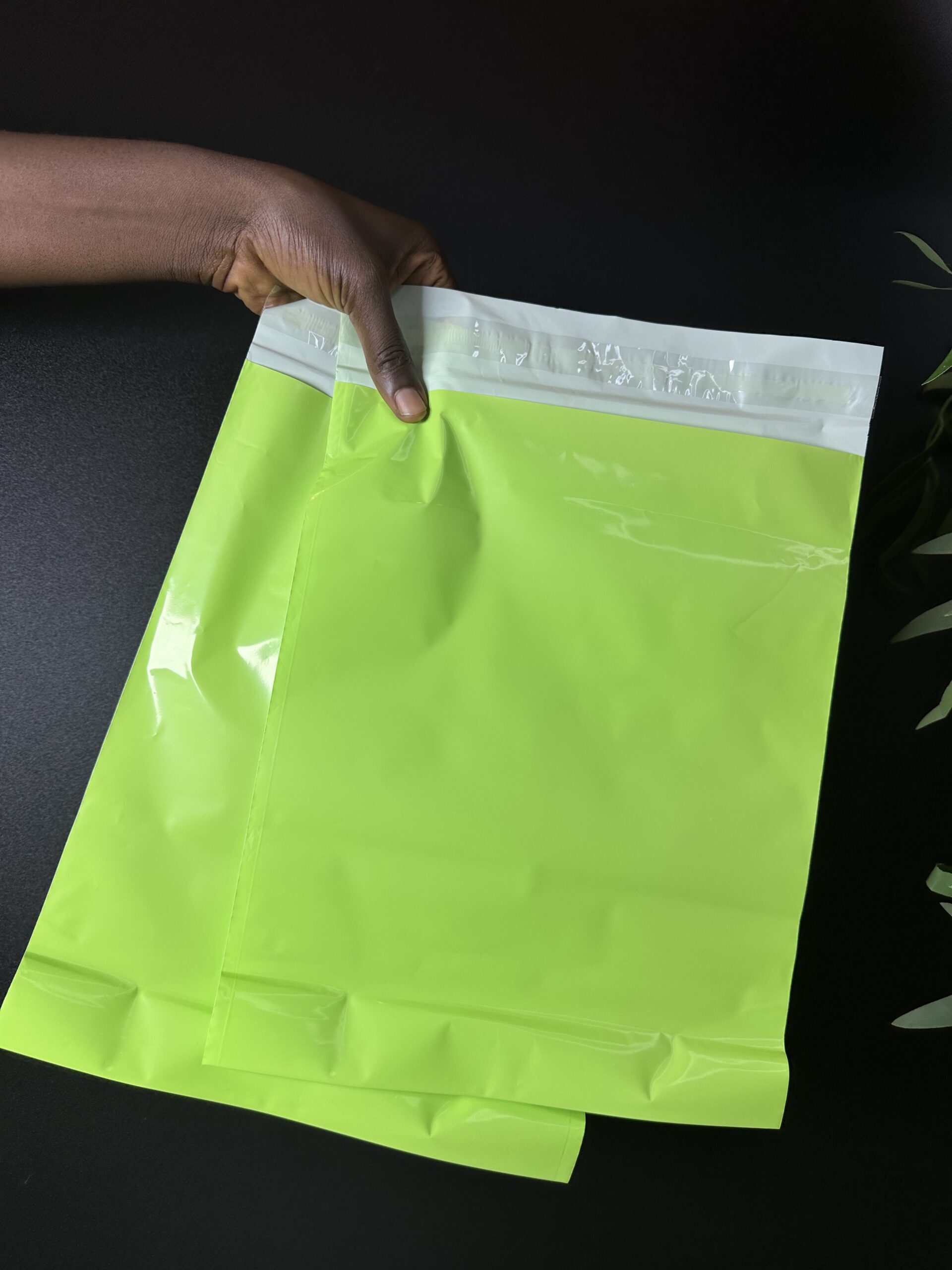 PLAIN POLY-MAILER(10) - Image 2