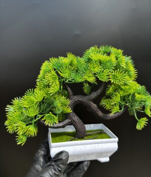 FLOWER POT PLANT F