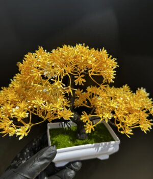FLOWER POT PLANT D
