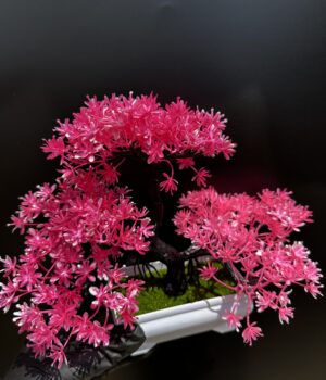 FLOWER POT PLANT D