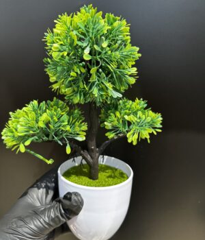 FLOWER POT PLANT B
