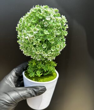 FLOWER POT PLANT G