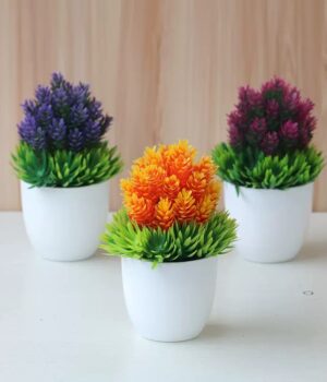 POT PLANT A