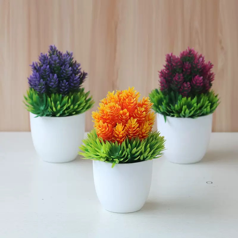 POT PLANT A
