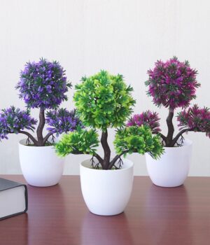 POT PLANT B