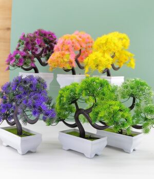 POT PLANT F