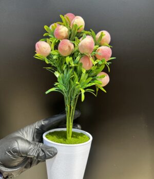 FLOWER POT PLANT H